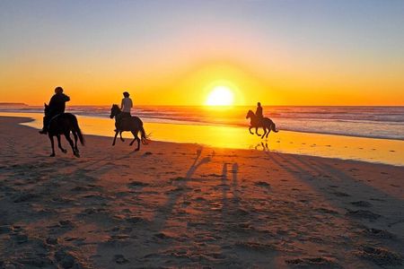 Casablanca Sunset Fun Horseback Ride on the Beach