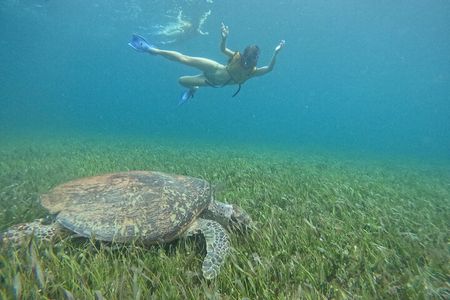 Catamaran with Snorkeling Free Bar and Free Time in Isla Mujeres