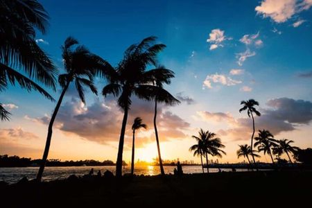 Smarter, Personalized, Luxury Miami City Tour