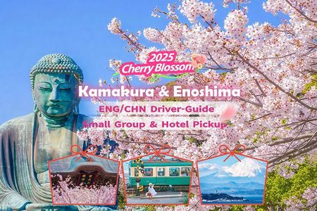 Tokyo: Bus Tour to Kamakura Great Buddha & Enoshima with Pickup