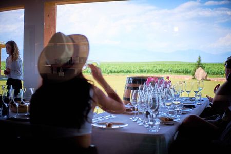 Vineyard Tour and Fine Wine Tasting Experience in Ararat Valley