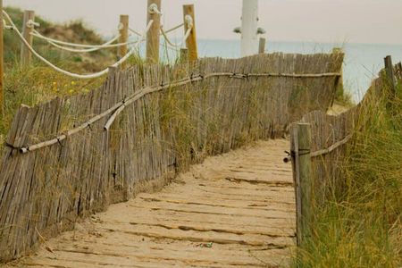 The Original Albufera Tour: Barraca, Boat Ride & Local Guide
