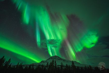 "a journey in search of the Northern Lights" | Private