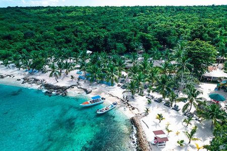 Punta Cana Speed Boat : Saona Island, Turtle Snorkeling & Lunch