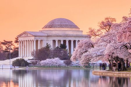 DC City Tour + Washington Monument, Air & Space, African American