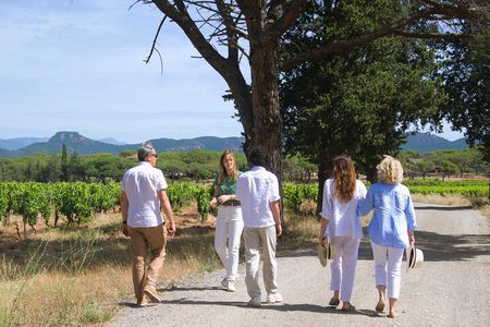 Wine Tour in the Var Vineyard Check-out from Fréjus
