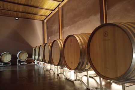 Volterra wines, sensory emotions of organic farming