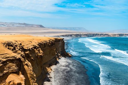 Paracas National Reserve: Private Shore Tour from Pisco 3 Hours