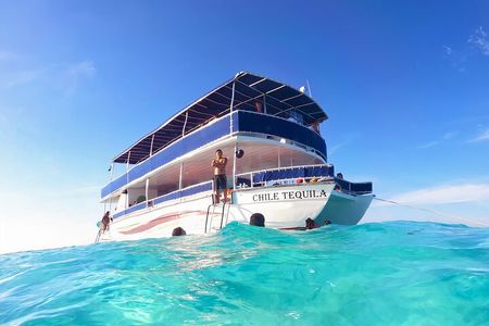 Cozumel Catamaran Tour: Snorkel at Top Reefs & Open Bar