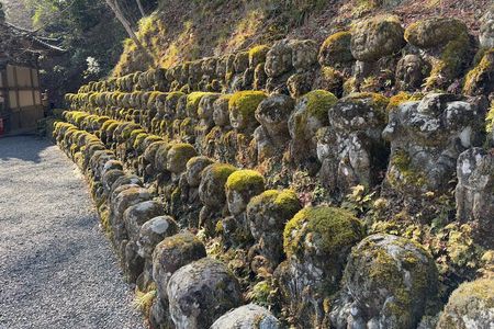 Kyoto Guided Walking Tour Discover a Different Side of Arashiyama