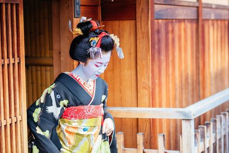 1 Hour Geisha Meeting and Show in Kyoto