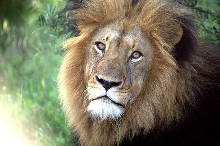 Addo Elephant National Park Private Tour