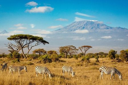 7-Day Masai Mara, Nakuru, Naivasha & Amboseli Kenya Budget Safari