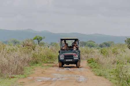 1-Day Mikumi National Park Fly-In Safari from Zanzibar