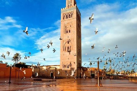 Marrakech Private Guided Half Day City Tour