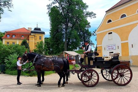 Country and Castle Tours by Carriage