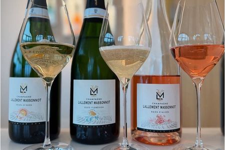 Vineyard and Triple Tasting First Cru in the Mountains of Reims 