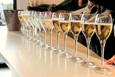 Vineyard and Triple Tasting First Cru in the Mountains of Reims 