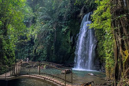 Ubud Private Chasing Waterfall and Water Temple Tour