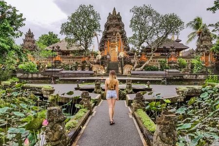 All Inclusive of Ubud Top Attraction 