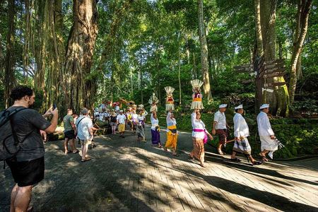 Explore Ubud Rice Terraces, Waterfalls & Balinese Culture