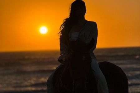 Experience Golden Hour Horseback Escape in Essaouira