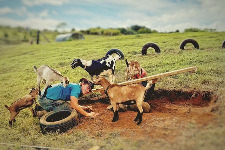 Kauai Baby Farm Animals Experience and Immerse in a Micro Dairy