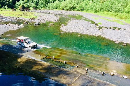 4x4 Safari HEREAKIMANU Tour in the Heart of Tahiti