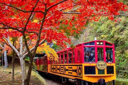 Arashiyama Sagano Romantic Train，Fushimi Inari Taisha & Nara Park