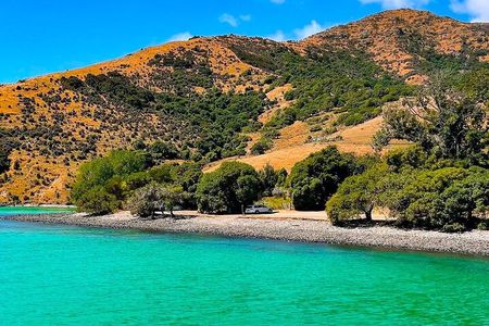 Akaroa Private Day Trip From Christchurch