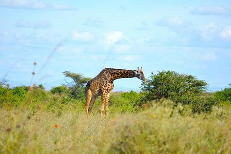 Group Sharing Camping Safari 