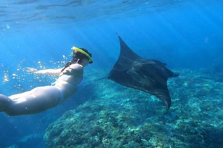Nusa Penida Snorkeling with Manta Bay and Land Tour