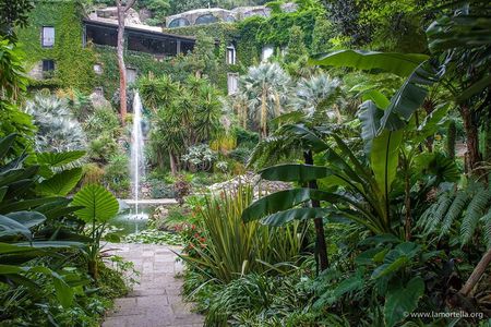Tour Gardens La Mortella