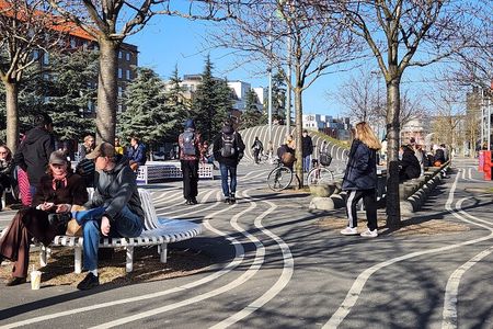 Copenhagen Walking Tour: Discover the Danish Way of Life