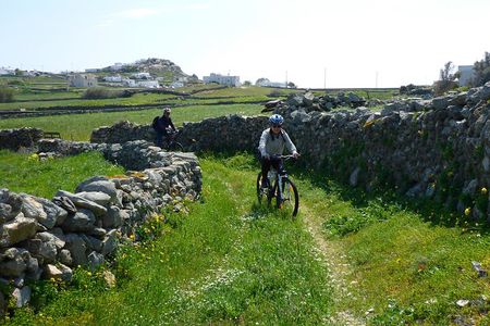 Authentic Mykonos bike tour