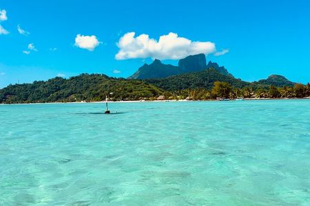 Bora Bora Complete tour of the lagoon in 2H