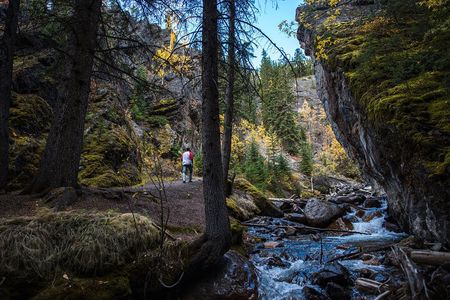 Banff Thermal Water and Hidden Waterfalls Walking Tour