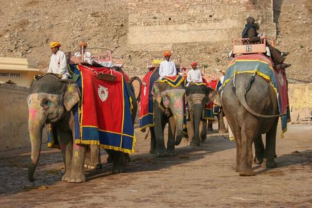 Jaipur Pink City Private Day Trip from Delhi