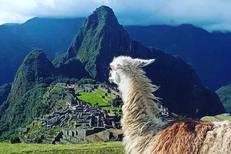 Sacred Valley and Machu Picchu 2 days
