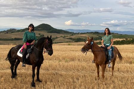 Horseback riding through the vineyards in Montepulciano Tuscany