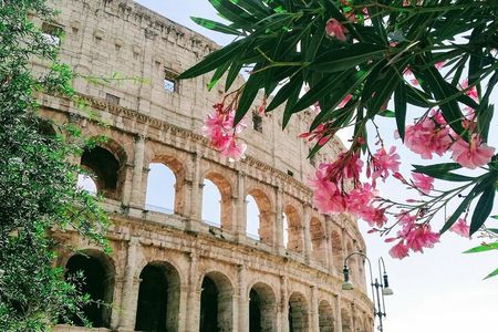 Rome On Your Own Full-Day Tour From Civitavecchia