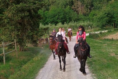 Horseback riding through the vineyards in Montepulciano Tuscany