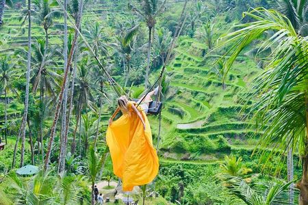 Ubud Private Tour: Waterfalls, Water Temple & Rice Terraces Swing
