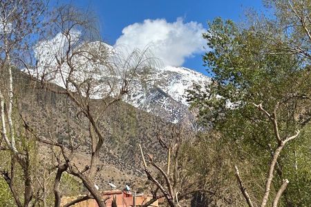 Full Day Atlas Mountains Private Day Tour From Marrakech