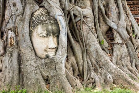 City Heritage Day Tour - Route A: United Nations World Heritage Ayutthaya UNESCO World HeritageDay Tour