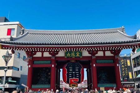 Tokyo Customizable Private Tour with Private Driver（10 hours)