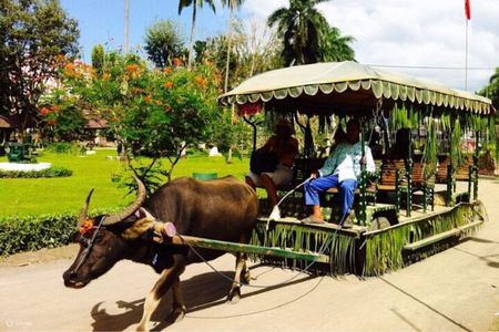 Villa Escudero: Cultural Show & Waterfall Buffet Experience