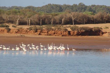 Agadir Jeep Safari Sahara Desert 4x4 Day Tour with Lunch
