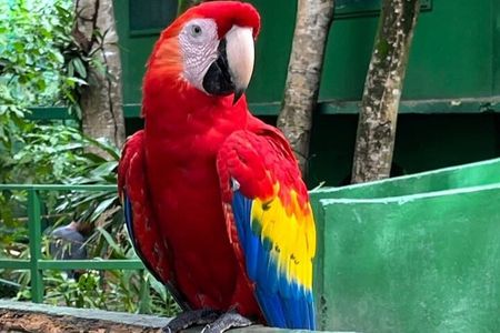  Exclusive Roatan Islands Tour Monkey Sloth birds 