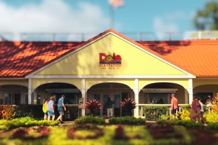 North Shore Foodie Fun: Eat, Explore, Enjoy (Incl. Dole)